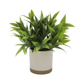 (4 pack) 8" Artificial Tealeaf in White Two-Tone Ribbed Ceramic Pot